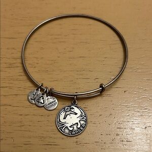 Alex and Ani Zodiac Cancer Silver Charm Adjustable Bangle